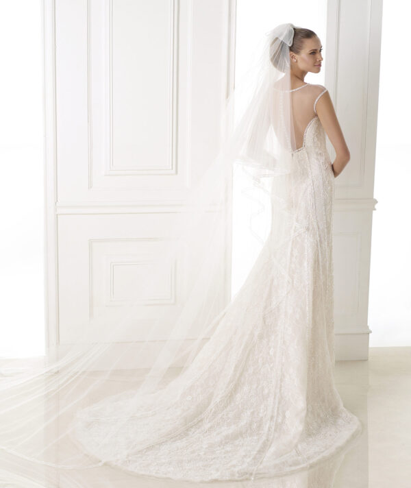 Back view of Brandir wedding dress by Pronovias