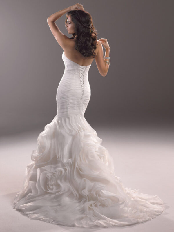 primrose maggie sotterp back