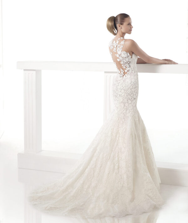 Back view of Carezza by Pronovias Atelier