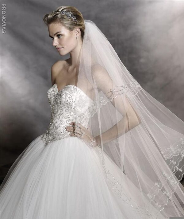 Odelia wedding dress by Pronovias front close up