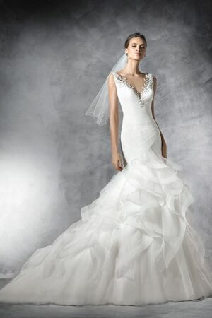 Pronovias Precious Wedding Dress