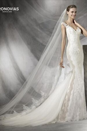 Front view of Tamar wedding dress by Pronovias