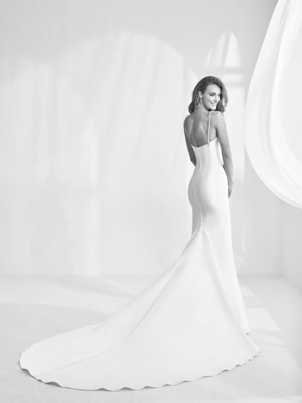 Back view of Ransen wedding dress by Atelier Pronovias