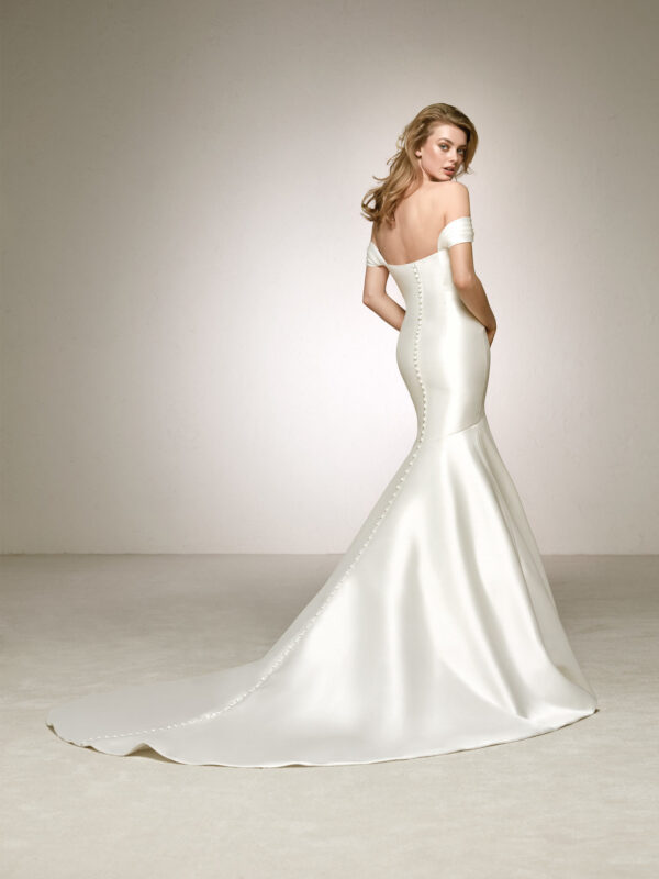 Back view of Delco wedding dress by Pronovias