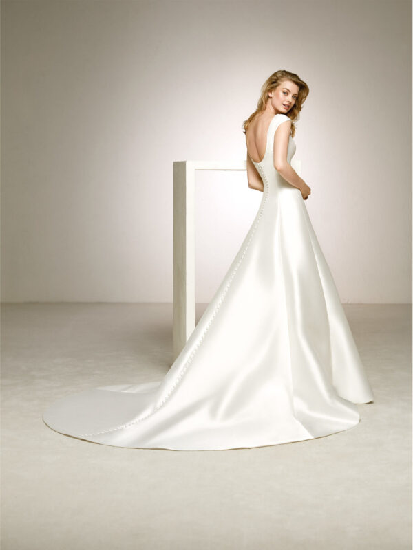 Delirio wedding dress by Pronovias back view