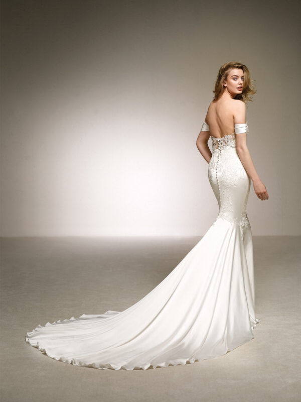 Dante wedding dress by Pronovias Bridal back view