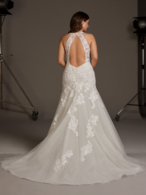 Fay Wedding dress by Pronovias Bridal back view