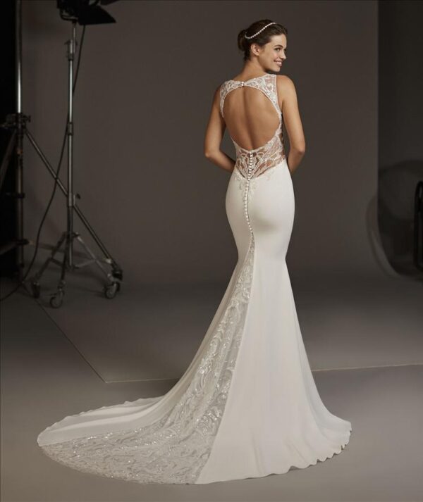 Aquila wedding dressby Pronovias Bridal back view