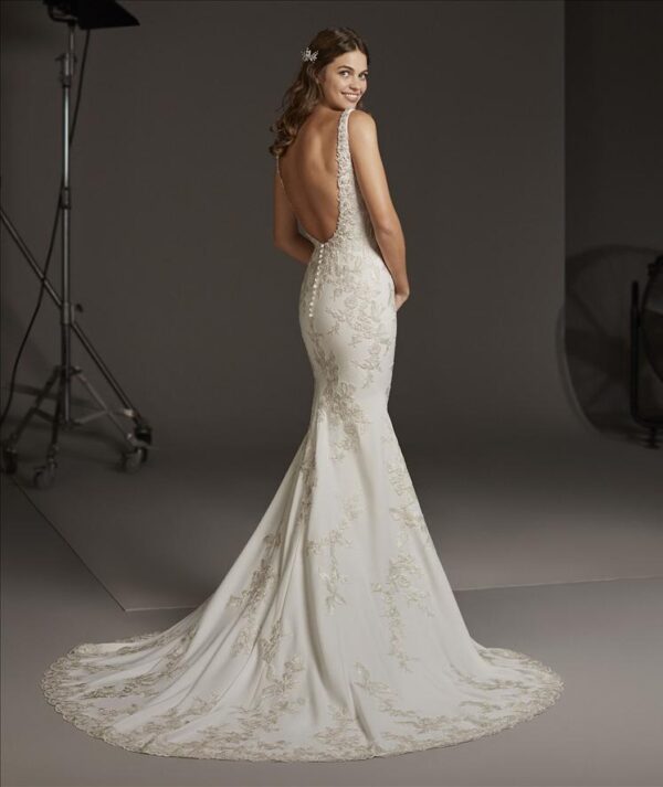 Auriga wedding dress by Pronovias Bridal back view