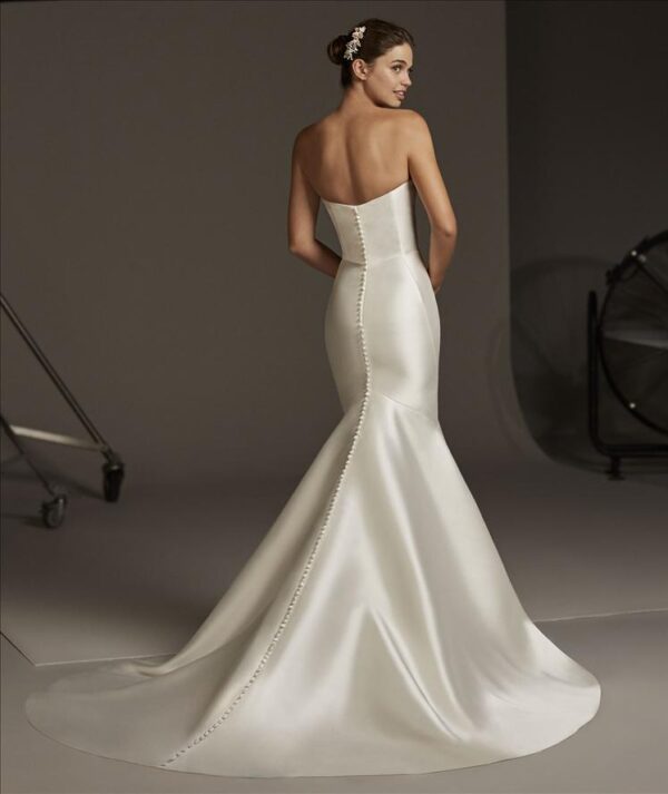 Oberon wedding dress by Pronovias Bridal back view