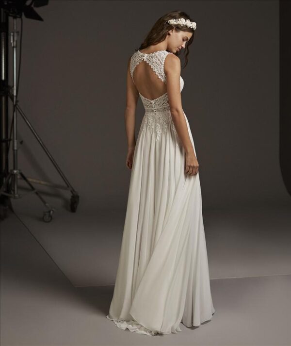 Comet wedding dress by Pronovias Bridal back view