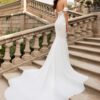 Dante wedding dress by Pronovias Bridal alt view back