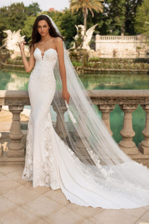 Epico wedding dress by Pronovias Bridal back view