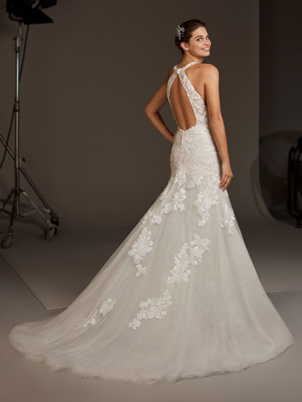 Fay Wedding dress by Pronovias Bridal back view 2