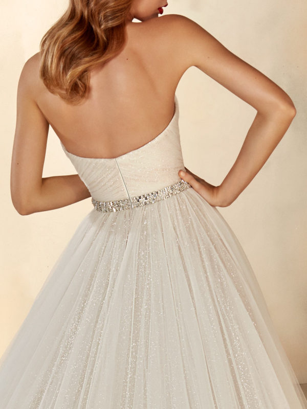 Night Wedding dress by Pronovias Atelier close up back