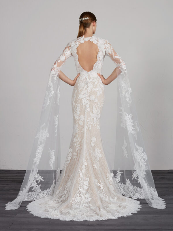 Mahon wedding dress by Pronovias back view