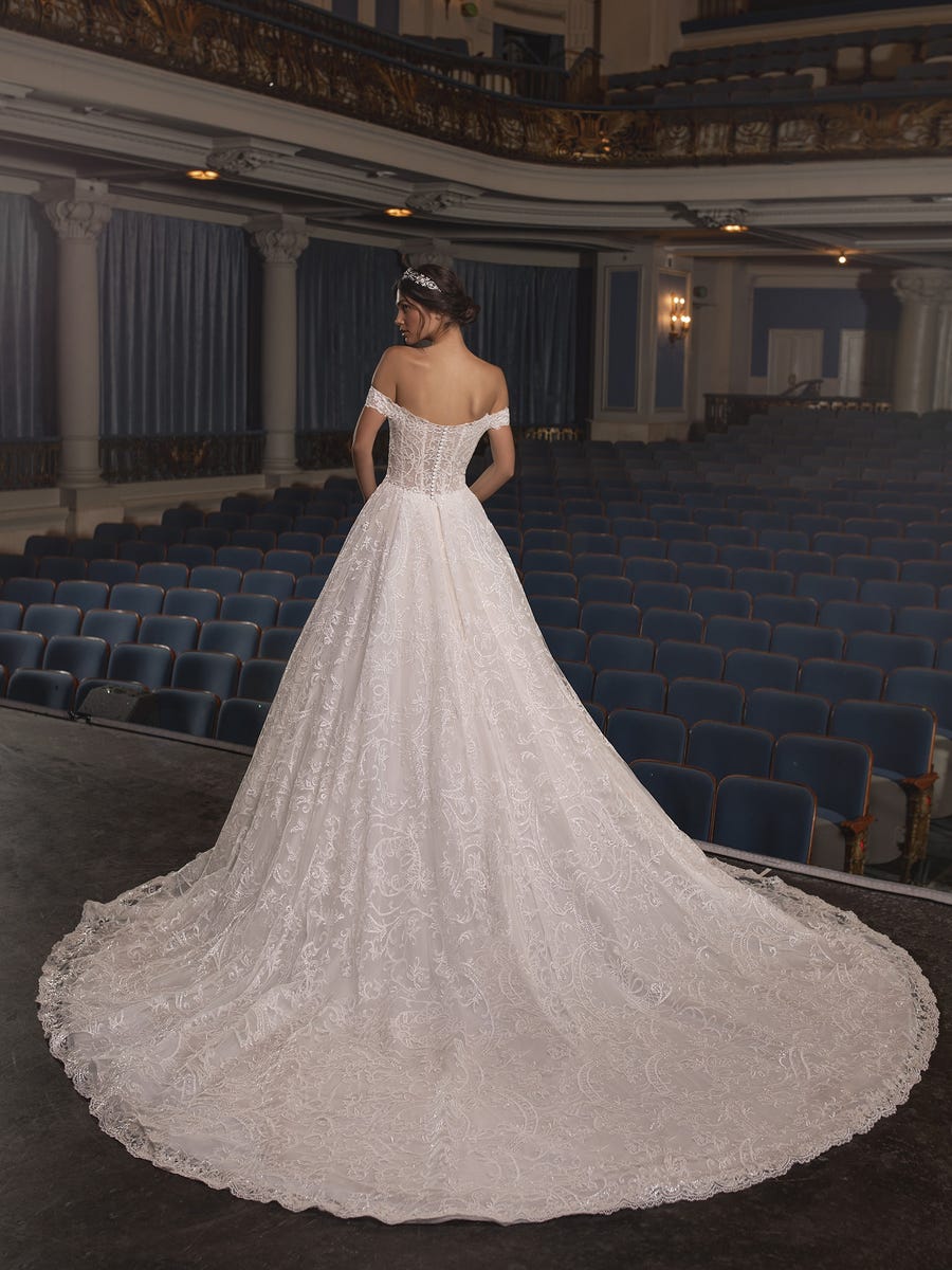 Temple by Pronovias ⋆ Ballgown Wedding Dress at Precious Memories