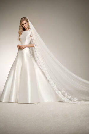 Delfina by Pronovias Wedding Dress