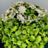Giselle Bridal H325 Headpiece