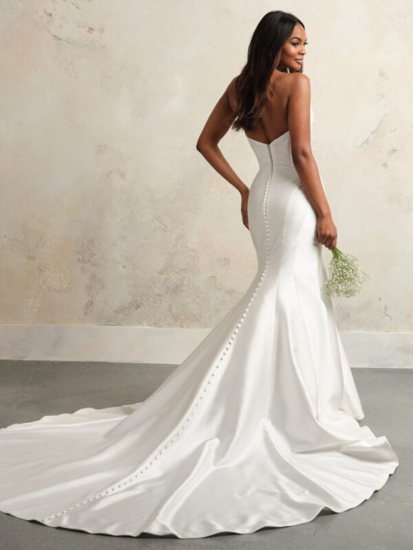 picture of back of wedding dress